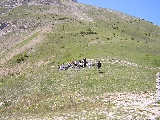 Cliquez ici pour voir l'image (DCF'04-70.JPG)