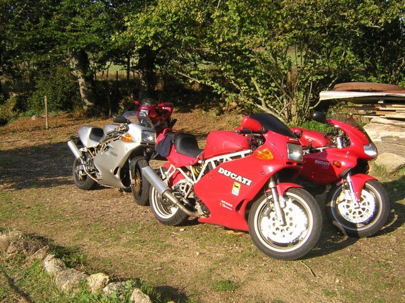 WDF1'05-01