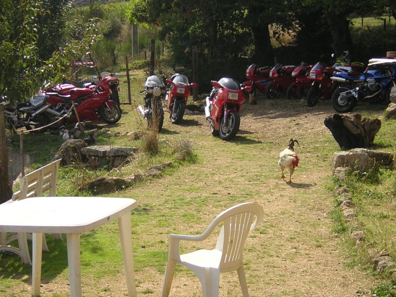 WDF1'05-11