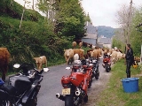 Cliquez ici pour voir l'image (West'03-16.jpg)