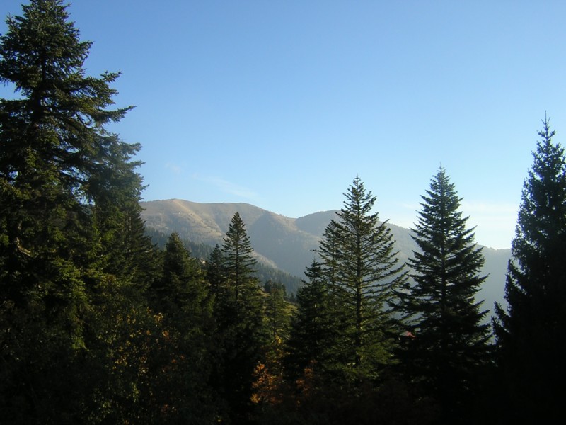 West'06-2-089
